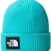 Mützen The North Face Salty Lined BeanieDog (NF0A3FJW) apres blue