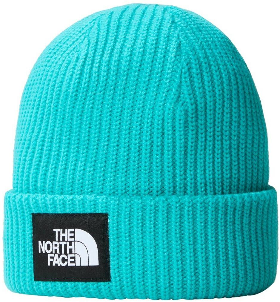 Mützen The North Face Salty Lined BeanieDog (NF0A3FJW) apres blue