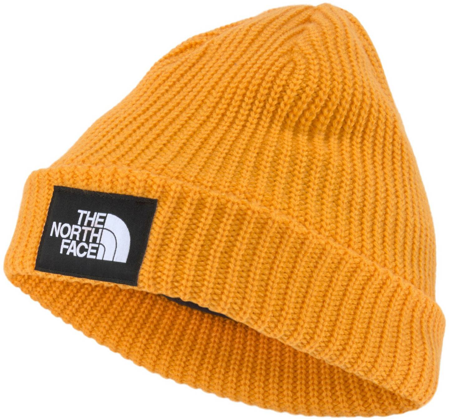 Mützen The North Face Salty Lined BeanieDog (NF0A3FJW) summit gold