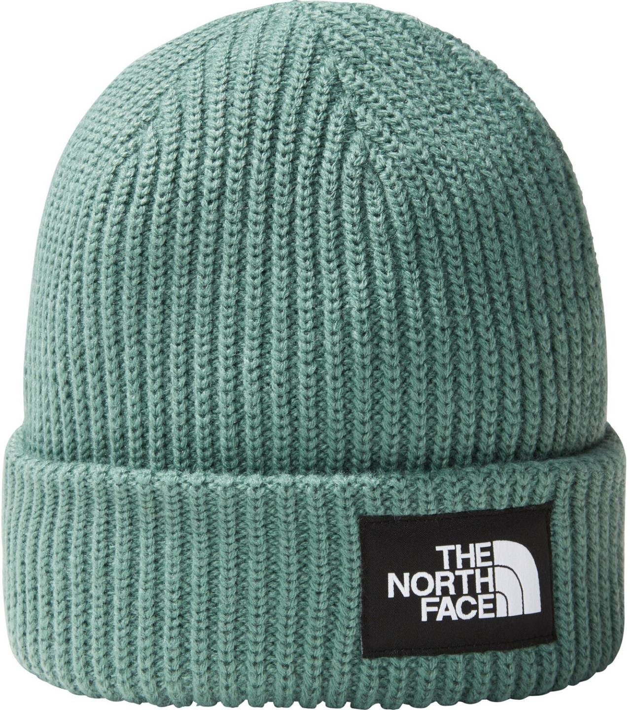 The North Face Salty Lined BeanieDog dark sage Mützen