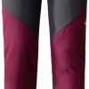 The North Face Dawn Turn Hose für Damenboysenberry-asphalt grey-tnf black Wintersportbekleidung