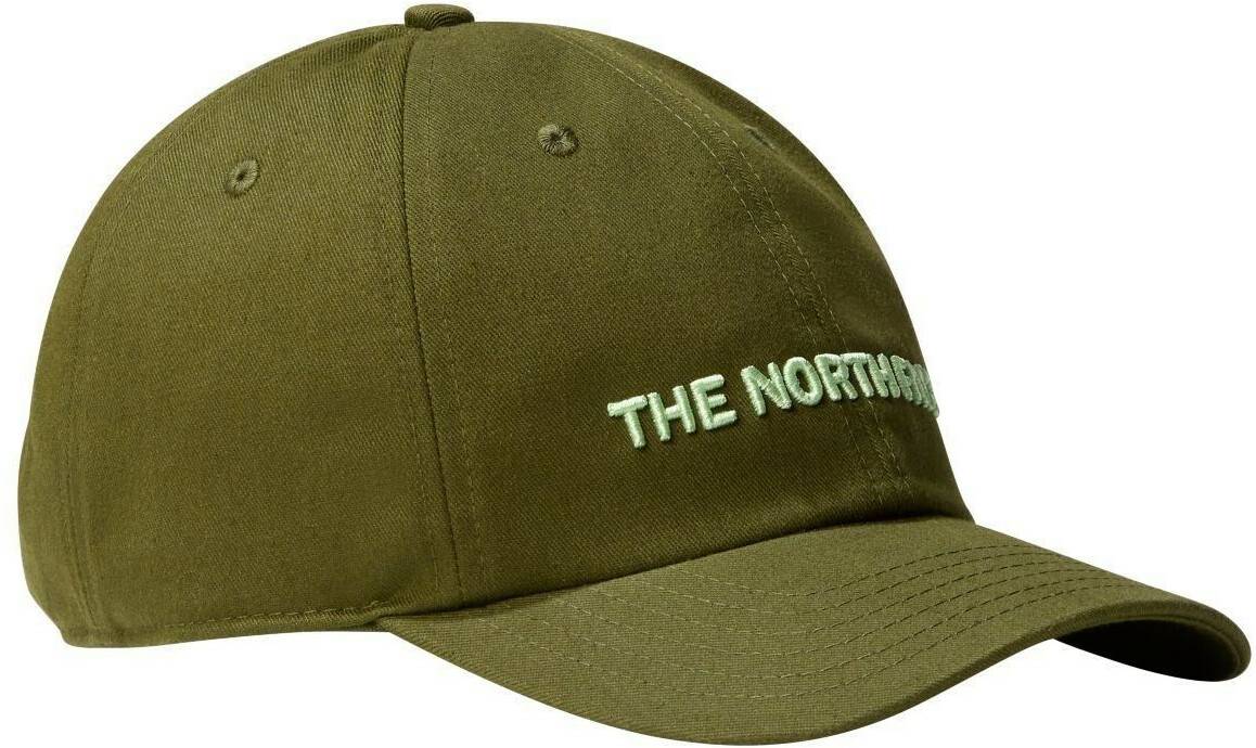 The North Face Roomy Norm Hat (NF0A7WHP) forest olive/misty sage Caps