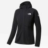 Outdoorbekleidung The North Face Damen Summit Futurefleece Hoodie Jackeschwarz