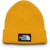 Mützen The North Face Logo Box Cuff Beanie (NF0A3FJX)summit gold