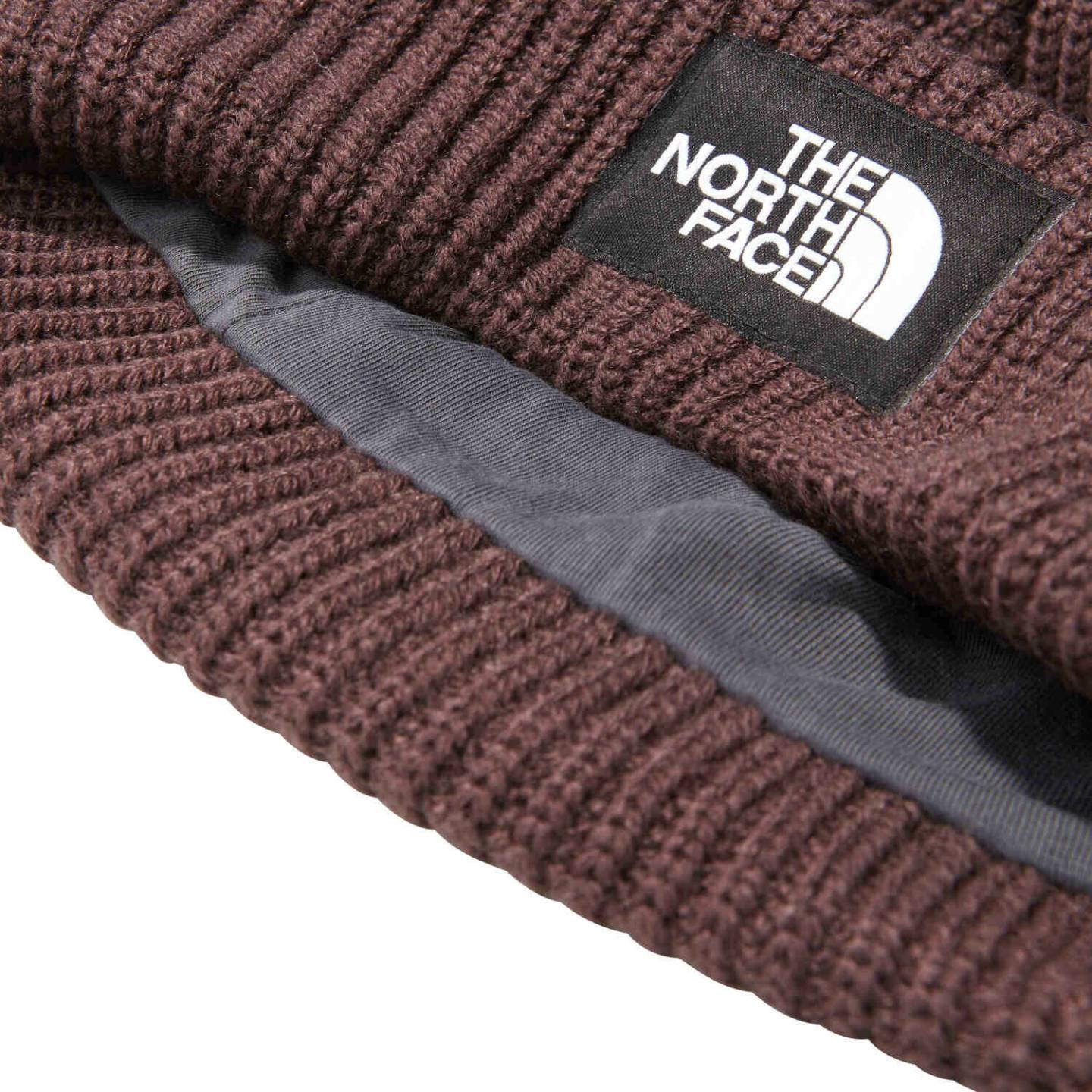 Mützen The North Face Salty Lined BeanieDog (NF0A3FJW) coal brown