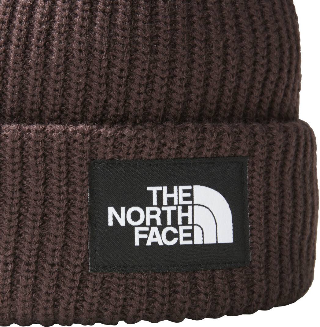 Mützen The North Face Salty Lined BeanieDog (NF0A3FJW) coal brown