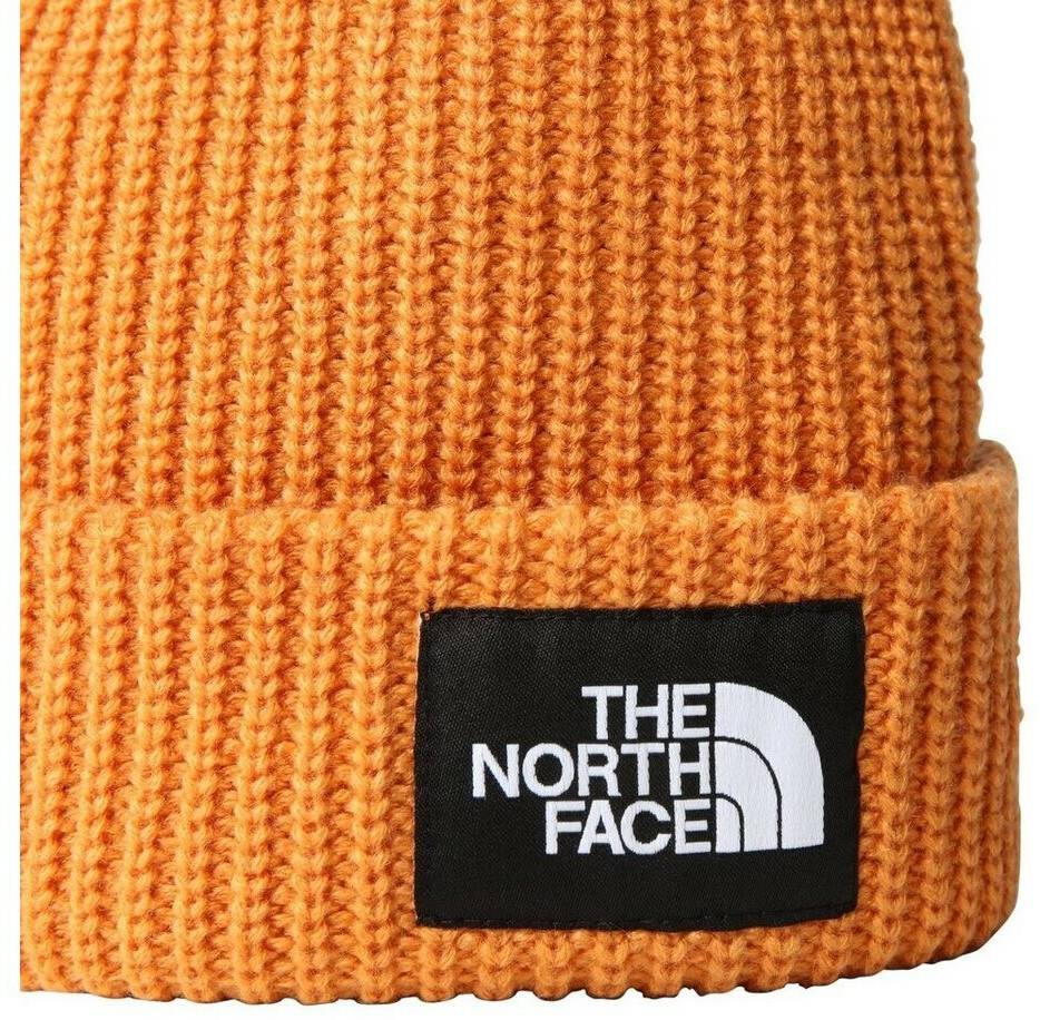 The North Face Salty Lined BeanieDog topaz Mützen