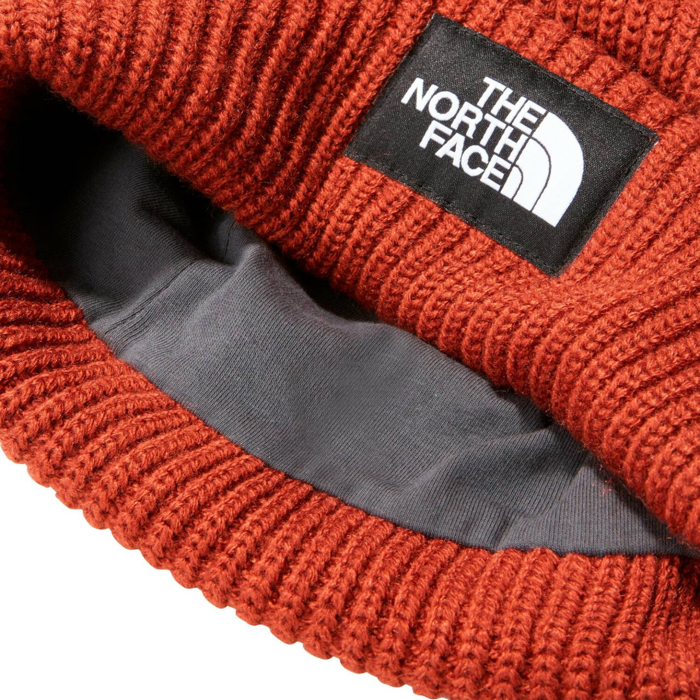 Mützen The North Face Salty Lined BeanieDog (NF0A3FJW) y brown