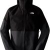 The North Face Jazzi GTX Jacket Menasphalt grey/TNF black Outdoorbekleidung