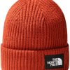 Mützen The North Face Salty Lined BeanieDog (NF0A3FJW) y brown