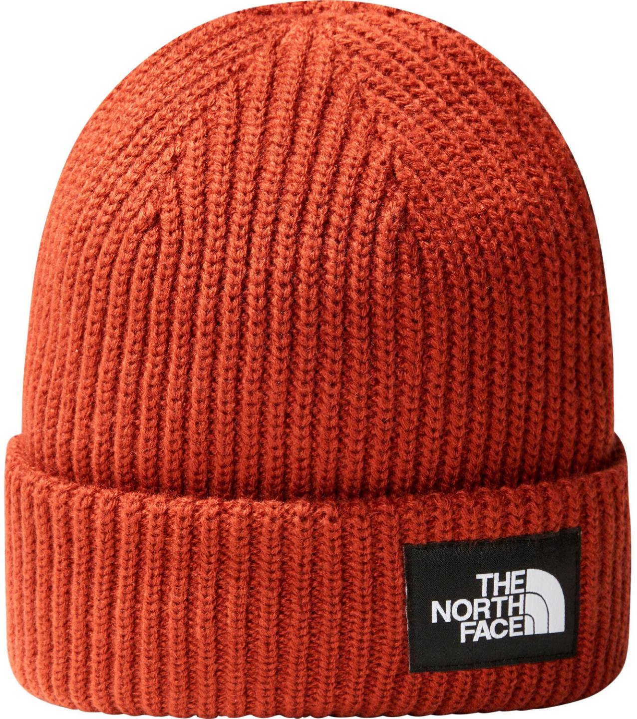 Mützen The North Face Salty Lined BeanieDog (NF0A3FJW) y brown