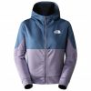 The North Face Full Zip Fleece Jacket Womenlunar slate/shady blue Sportbekleidung