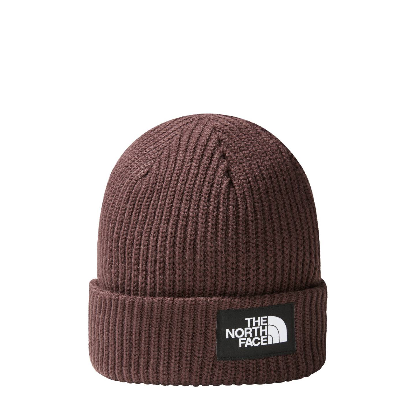 Mützen The North Face Salty Lined BeanieDog (NF0A3FJW) coal brown