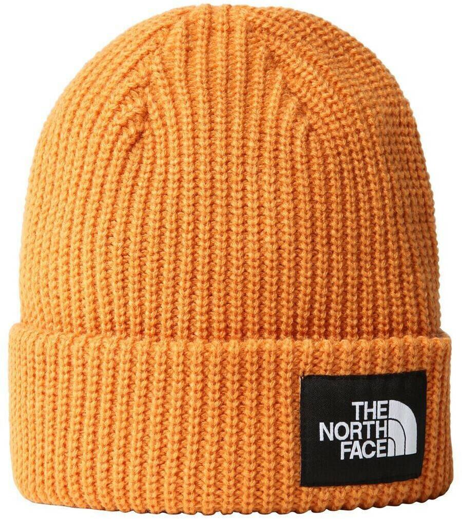 The North Face Salty Lined BeanieDog topaz Mützen