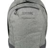 Rucksäcke Regatta Brize II 20 (EU152)(EU152_4Z1) marl grey/ebony